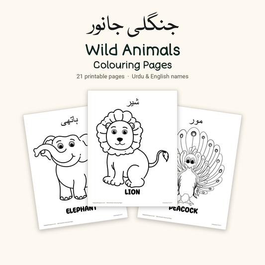 Wild Animals جنگلی جانور - Colouring Pages
