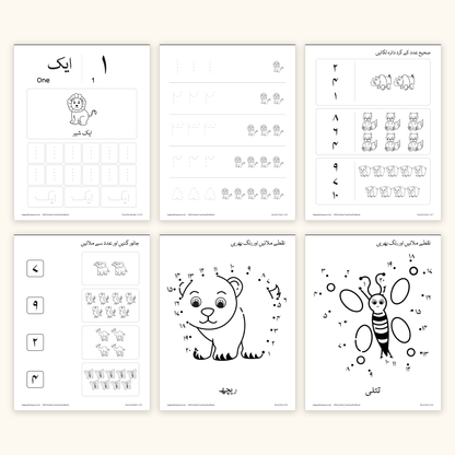 Wild Animals جنگلی جانور - Counting Workbook