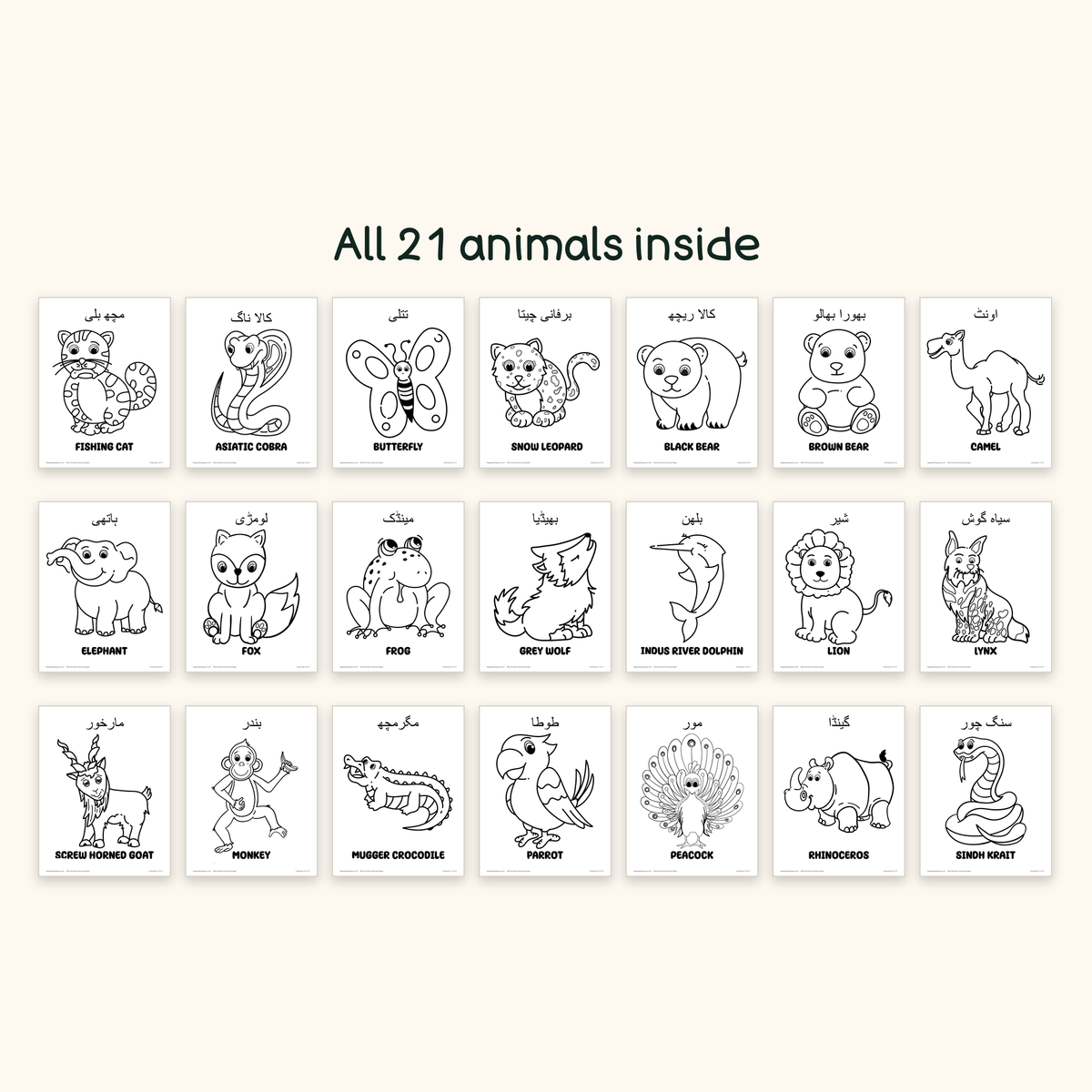 Wild Animals جنگلی جانور - Colouring Pages