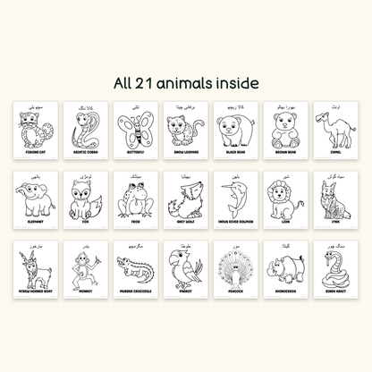 Wild Animals جنگلی جانور - Colouring Pages
