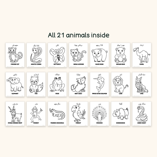 Wild Animals جنگلی جانور - Colouring Pages