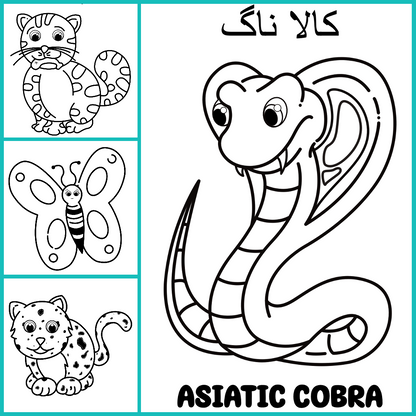 Wild Animals جنگلی جانور - Colouring Pages