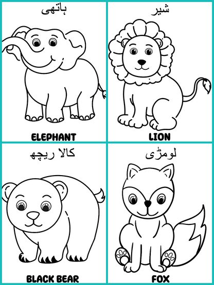 Wild Animals جنگلی جانور - Colouring Pages